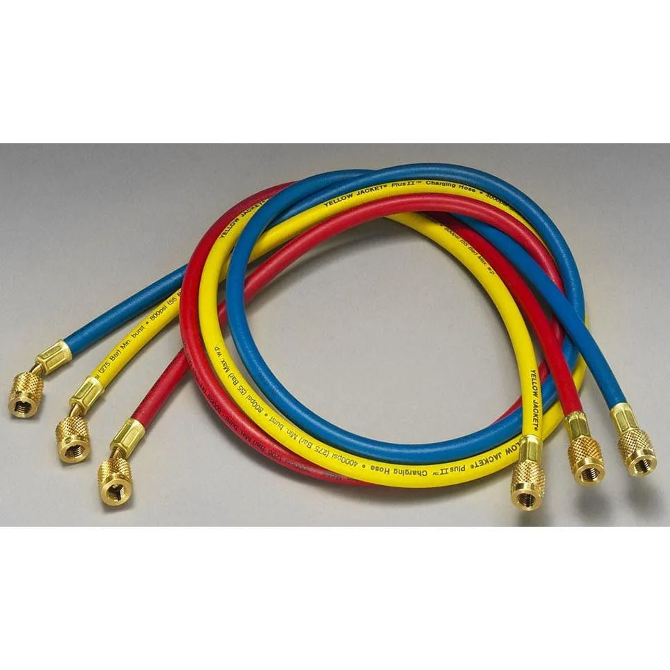 HOSE HAV60 BLUE 21260-Remsco